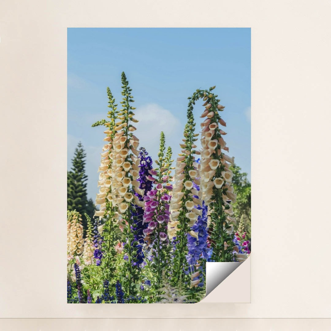 7090284593187 - Product Image