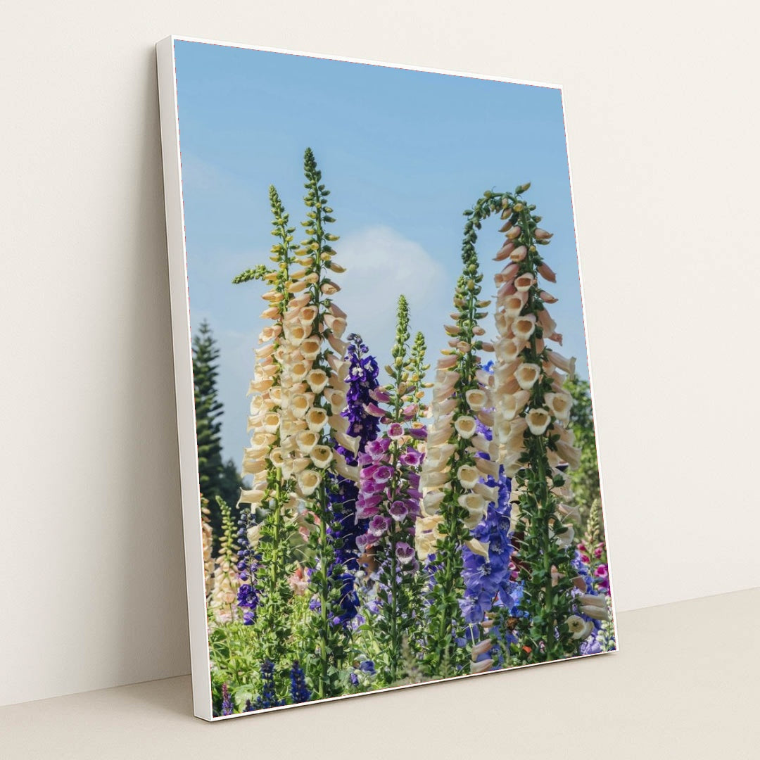 7090284593187 - Product Image