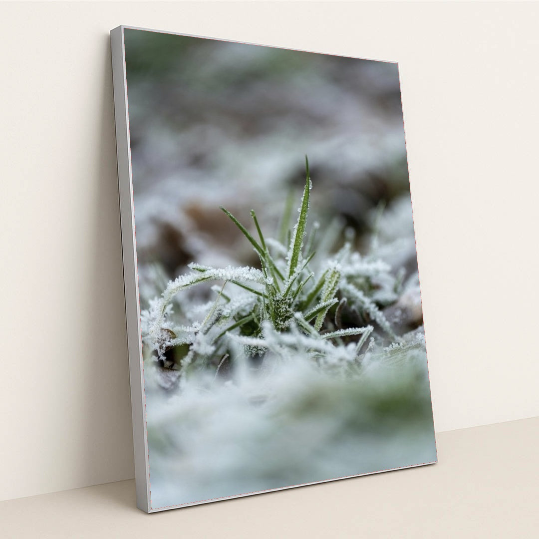 7090345869347 - Product Image