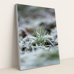 7090345869347 - Product Image