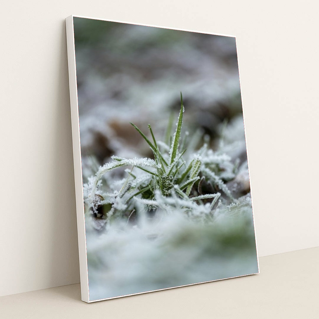 7090345869347 - Product Image