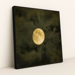 7090332336163 - Product Image