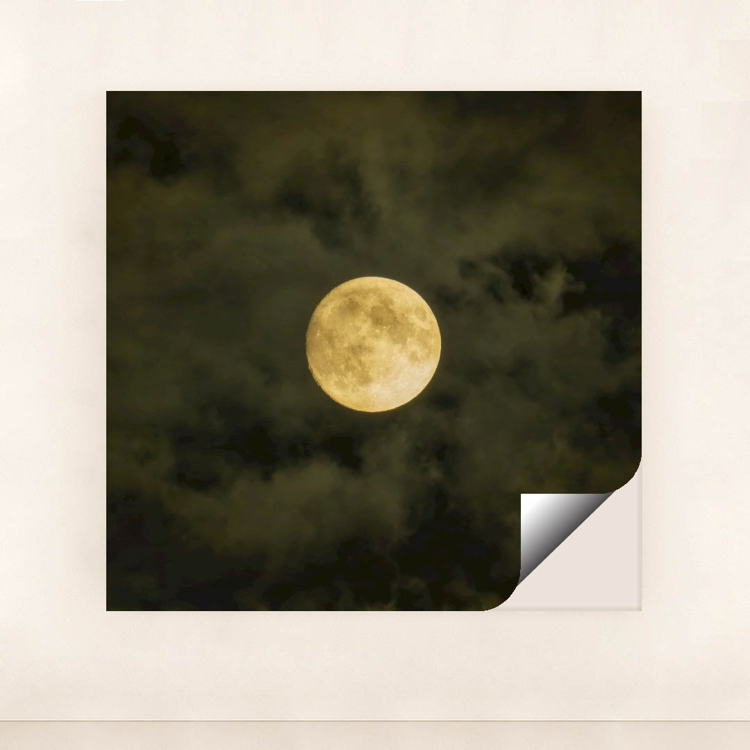 7090332336163 - Product Image