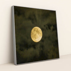 7090332336163 - Product Image