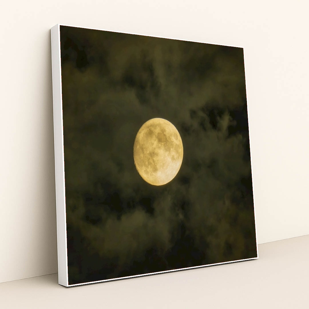 7090332336163 - Product Image