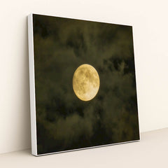 7090332336163 - Product Image