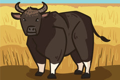 Adri Ansyah - A bull standing in a field of wheat