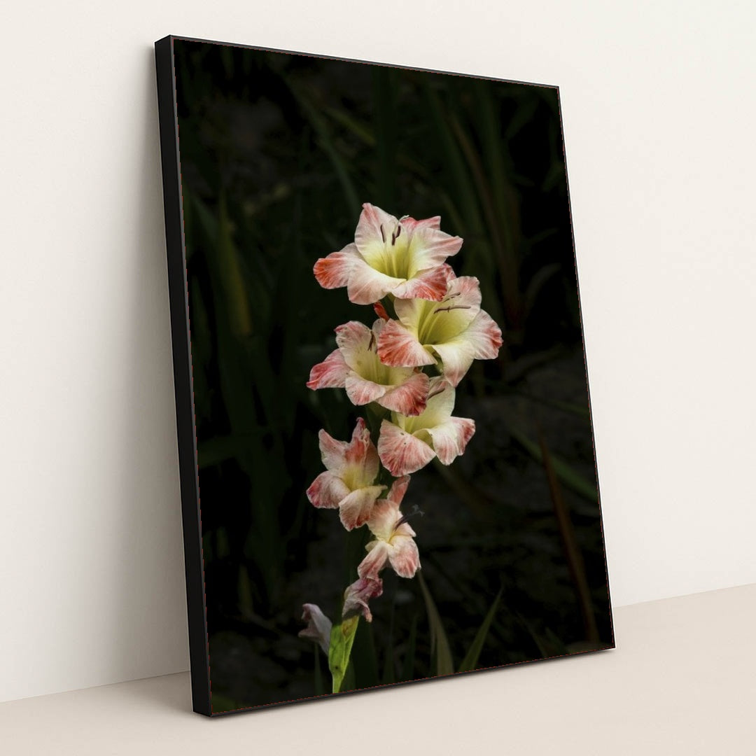 7090263195683 - Product Image