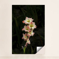 7090263195683 - Product Image