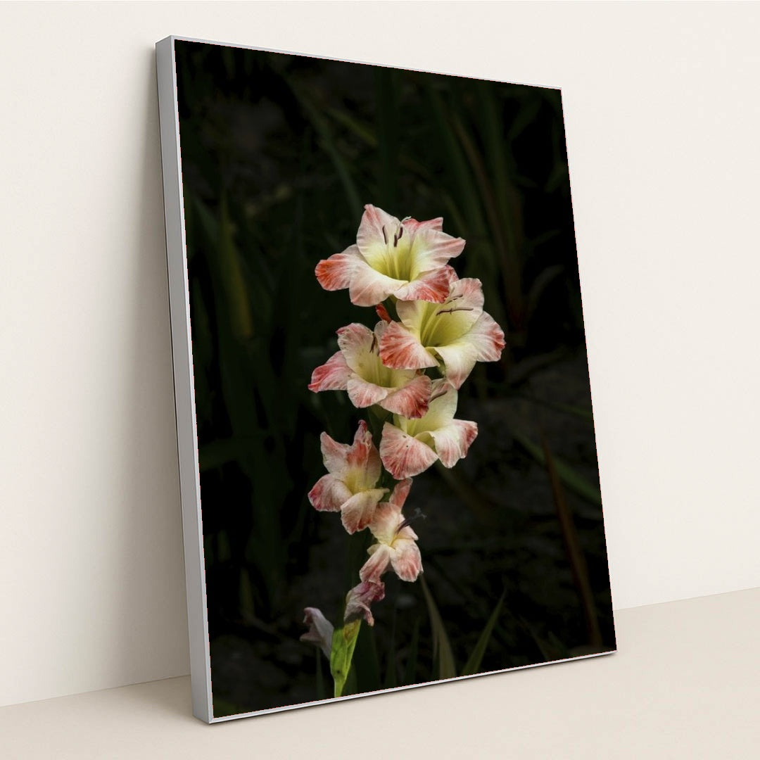 7090263195683 - Product Image