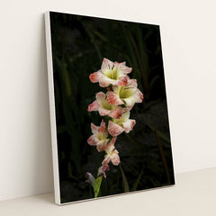 7090263195683 - Product Image