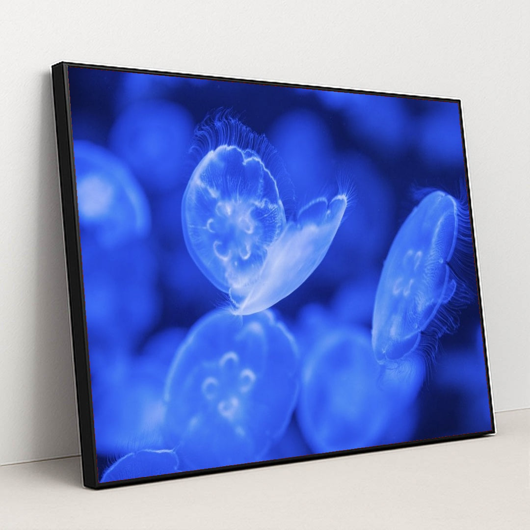 7090385322019 - Product Image