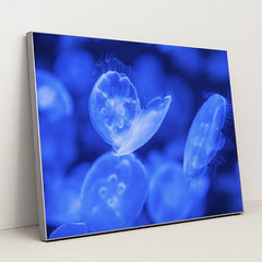 7090385322019 - Product Image