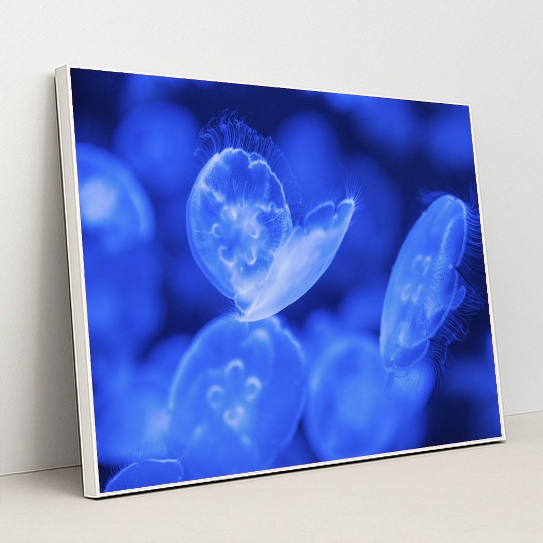 7090385322019 - Product Image