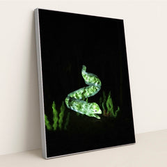 7090384896035 - Product Image