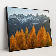 6346 - Product Image