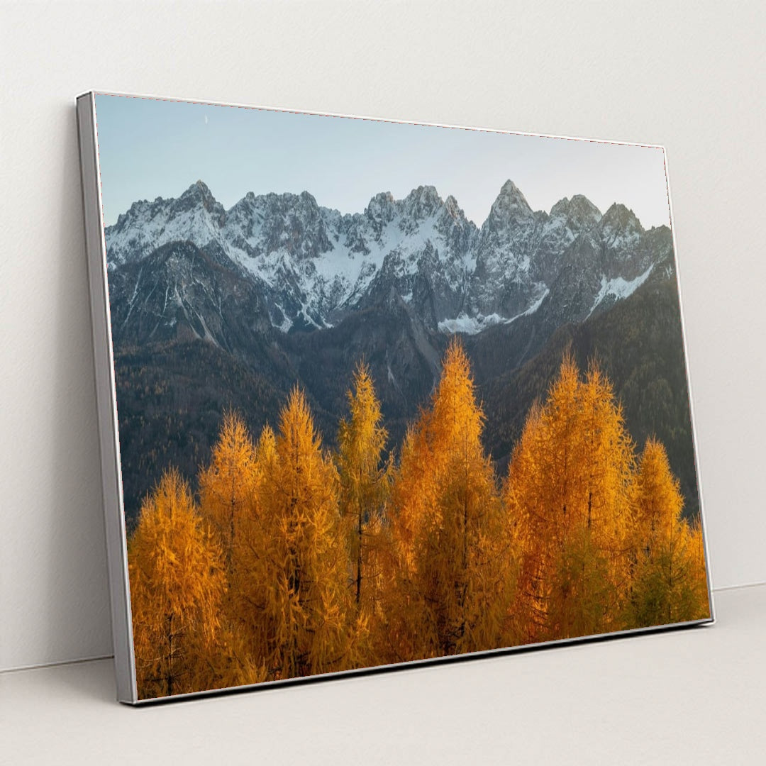 6346 - Product Image