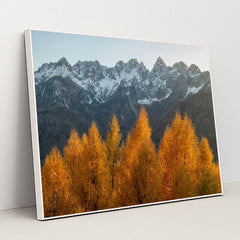 6346 - Product Image