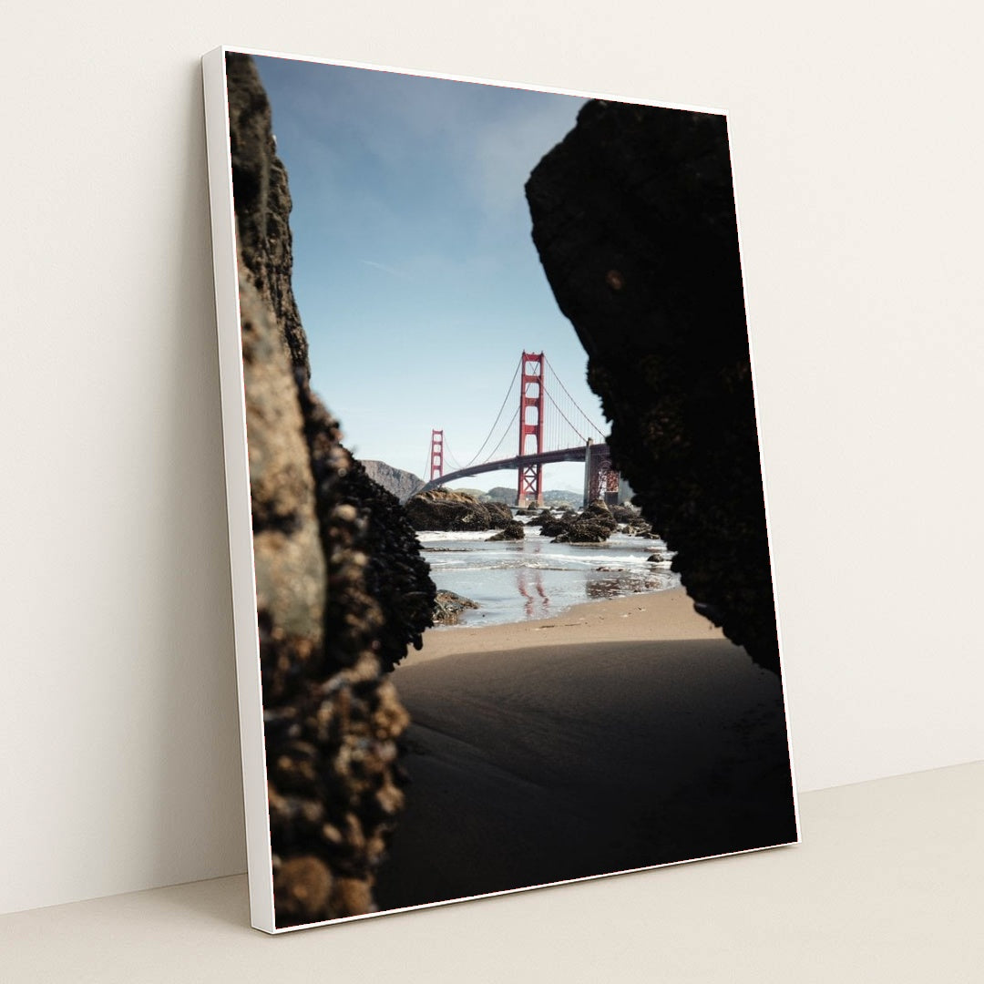 7090351144995 - Product Image