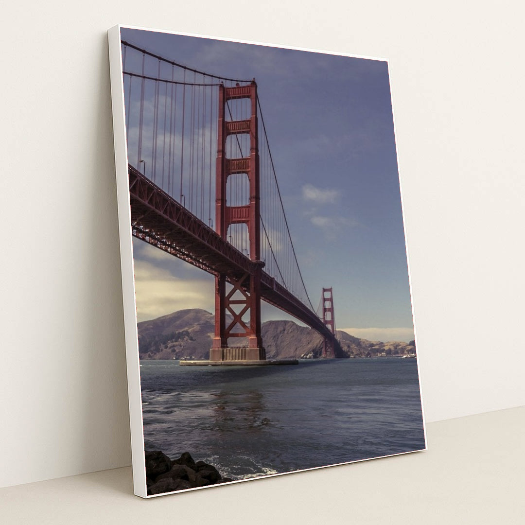 7090802622499 - Product Image