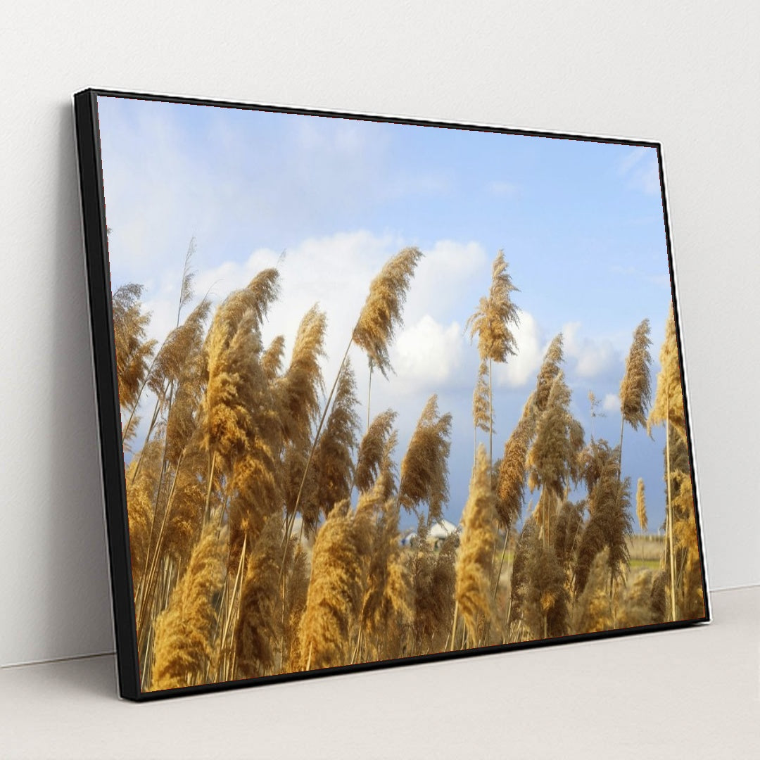 7090290229283 - Product Image