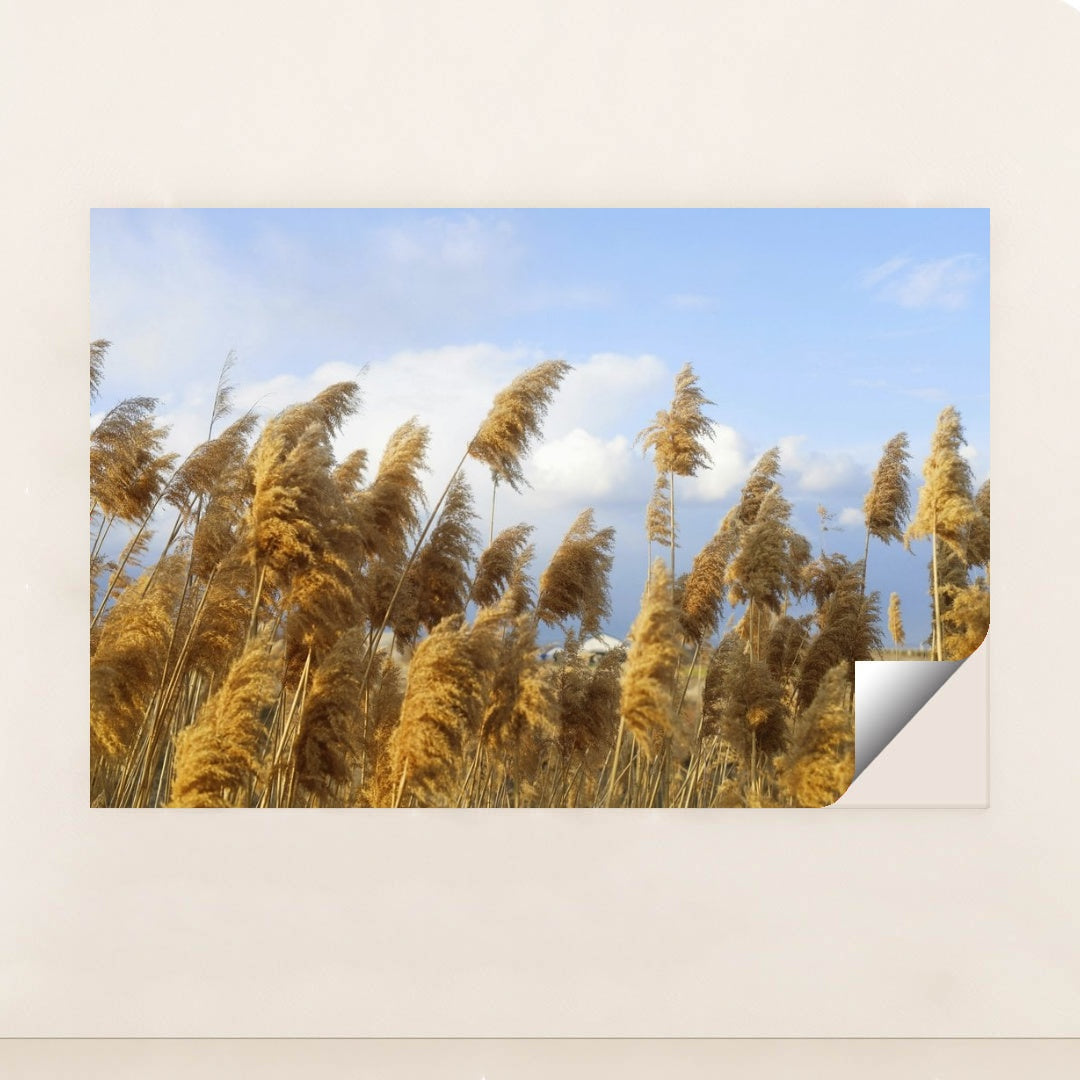 7090290229283 - Product Image