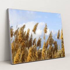 7090290229283 - Product Image