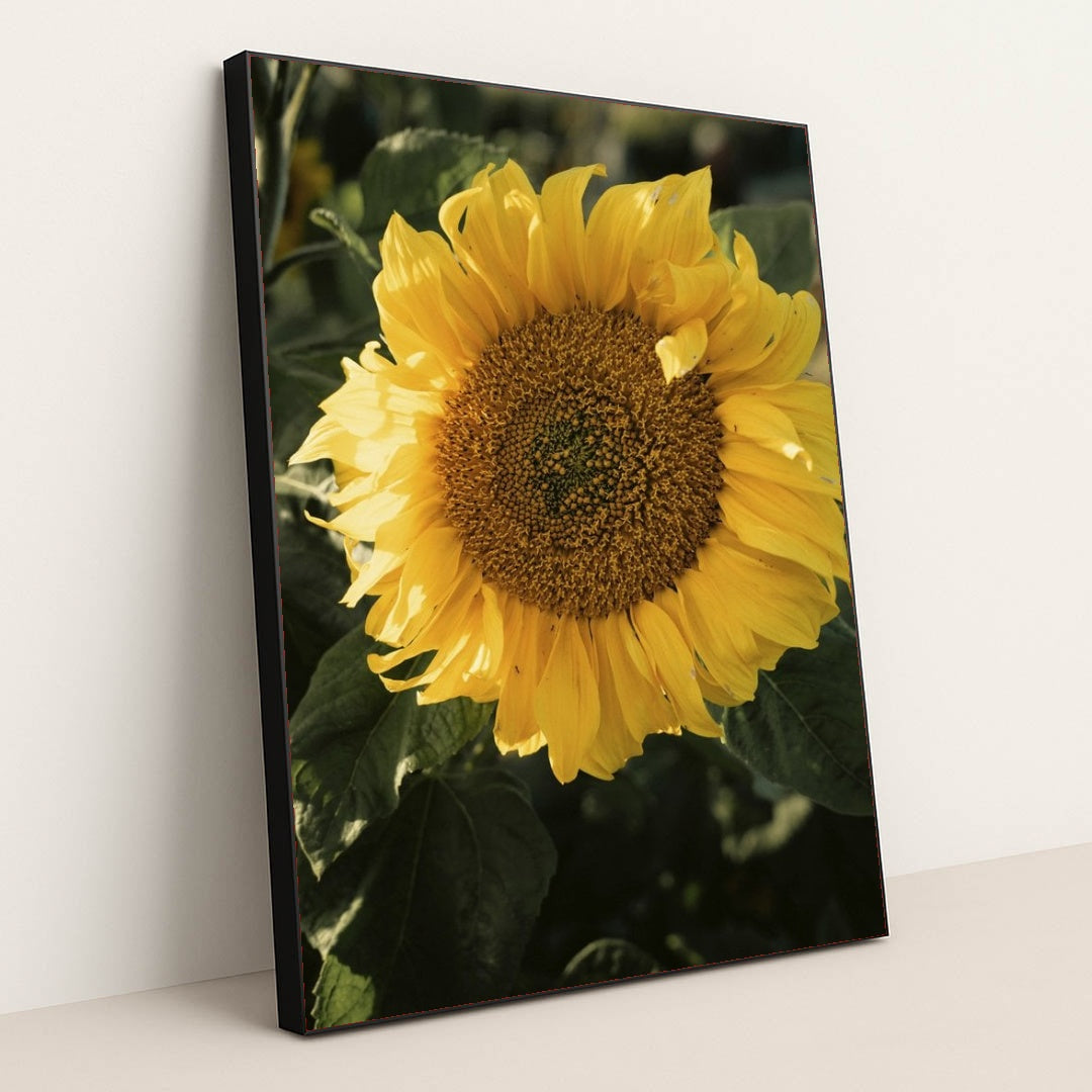 7090298454051 - Product Image