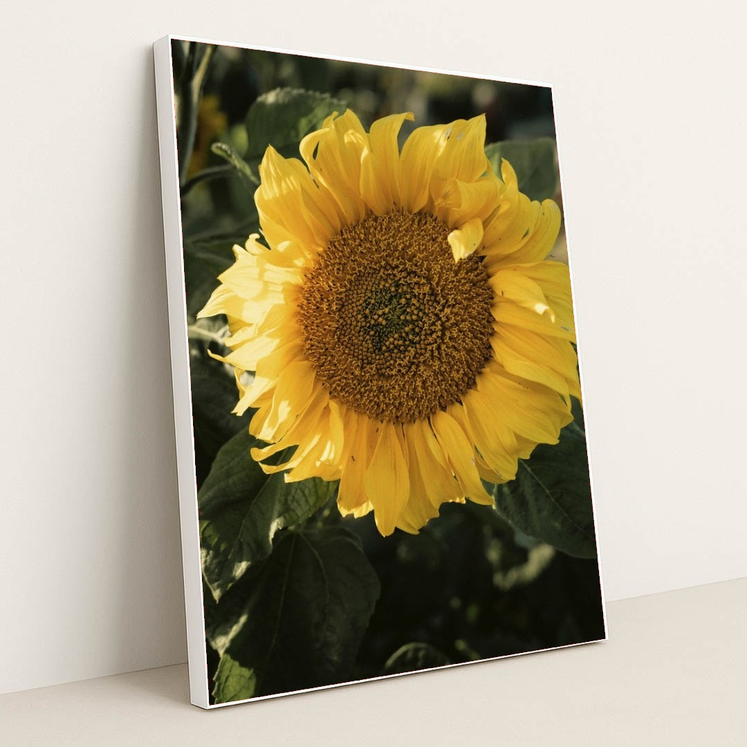 7090298454051 - Product Image