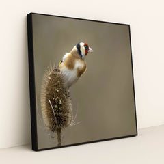 7090334629923 - Product Image