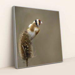 7090334629923 - Product Image