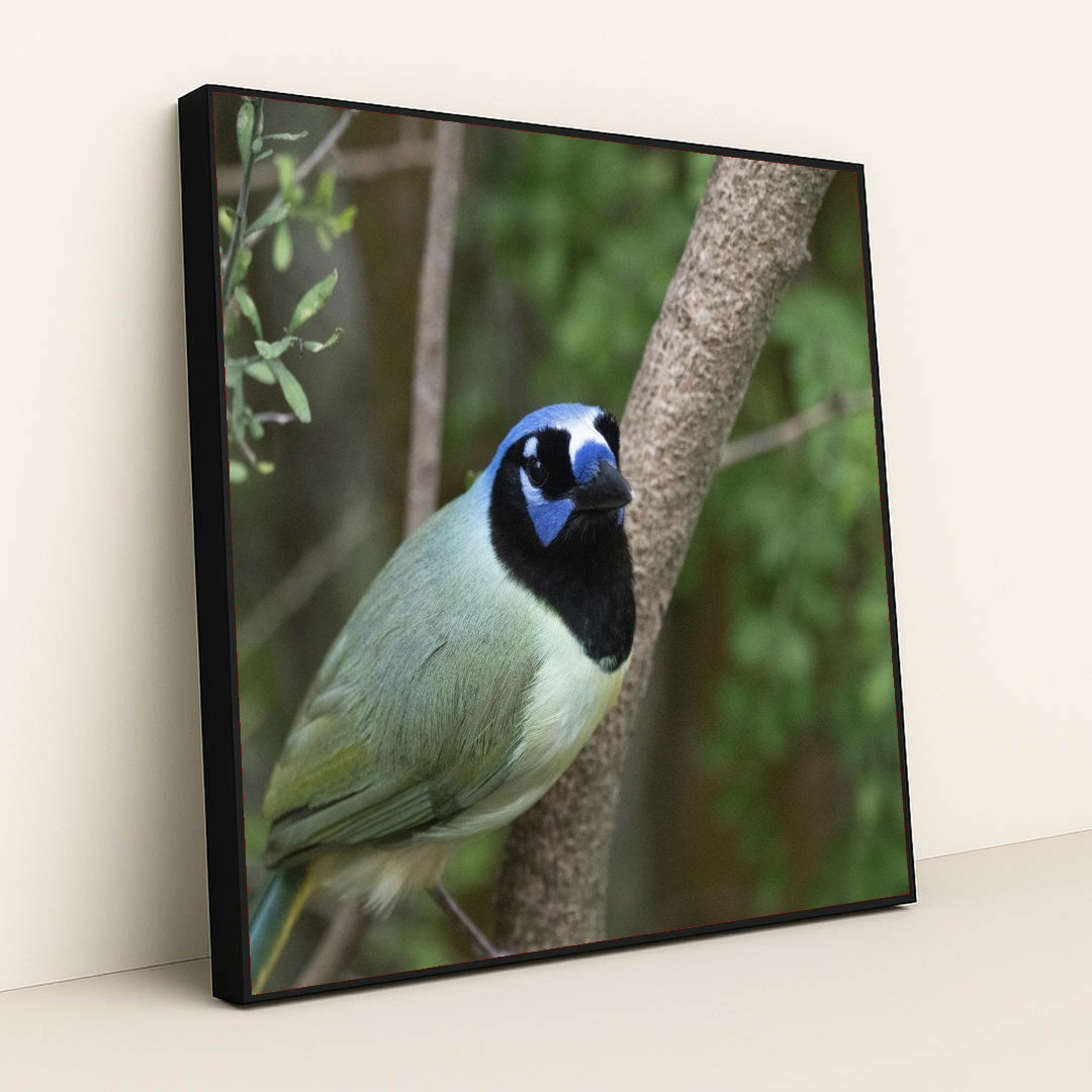 7090328829987 - Product Image