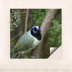 7090328829987 - Product Image