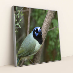 7090328829987 - Product Image