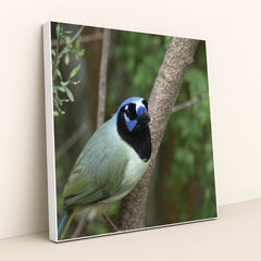 7090328829987 - Product Image