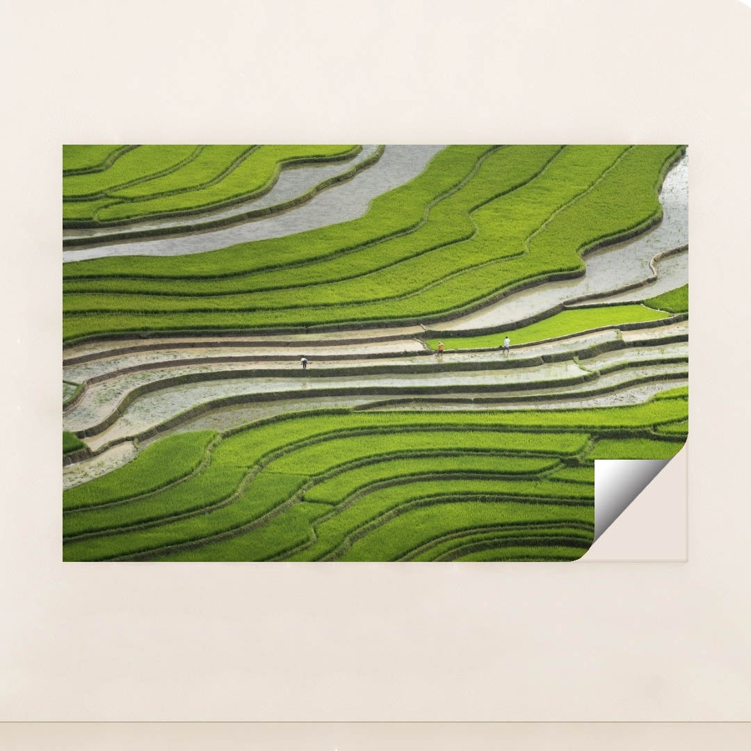 7090355568675 - Product Image