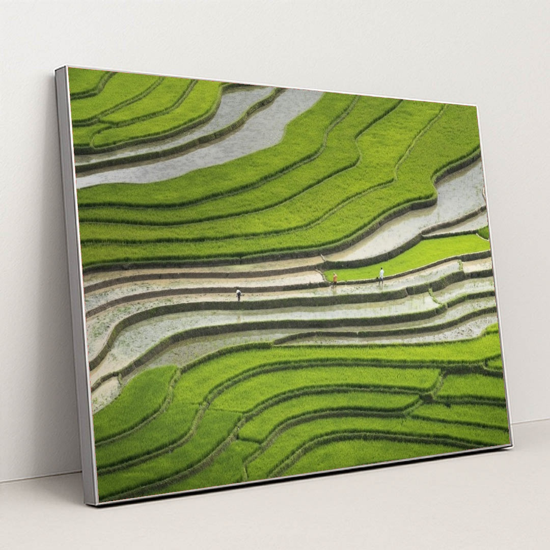 7090355568675 - Product Image