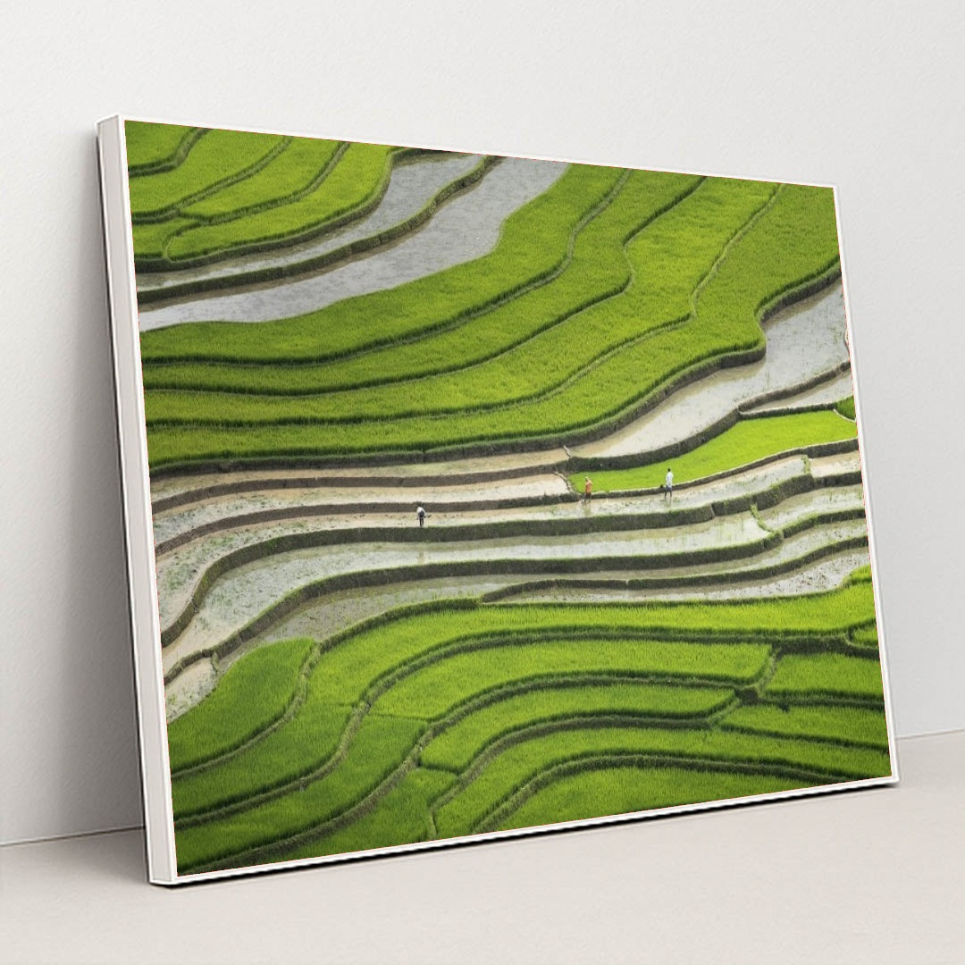 7090355568675 - Product Image