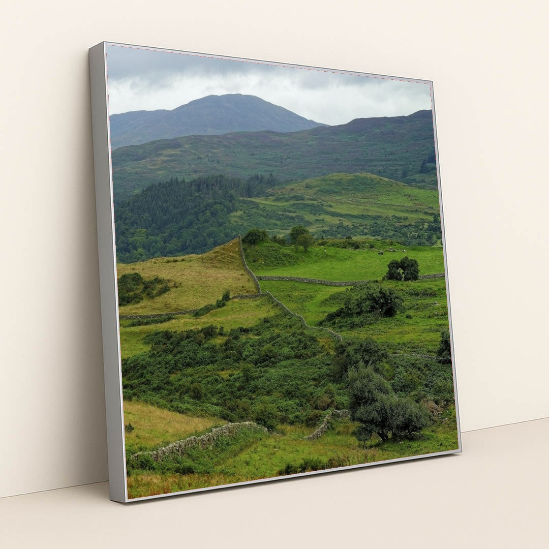 7090297962531 - Product Image