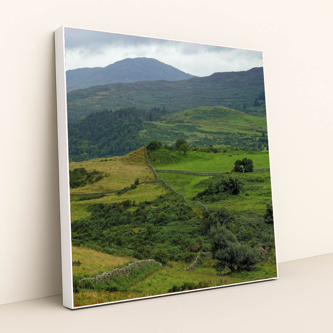 7090297962531 - Product Image