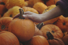 Tim Mossholder - A hand selecting a fresh pumpkin from a harvest pile, symbolizing fall season abundance.