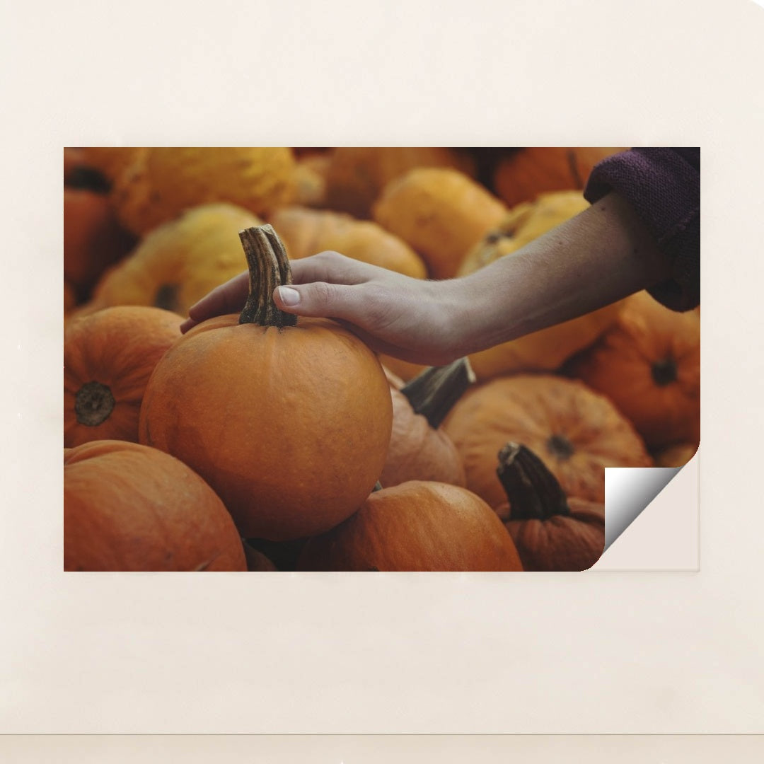 7090330271779 - Product Image