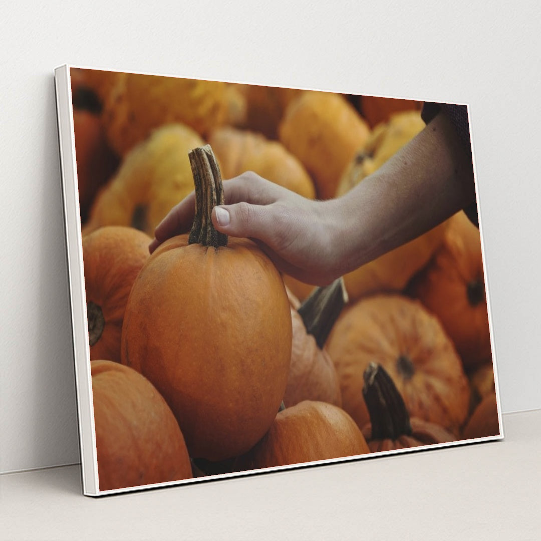 7090330271779 - Product Image