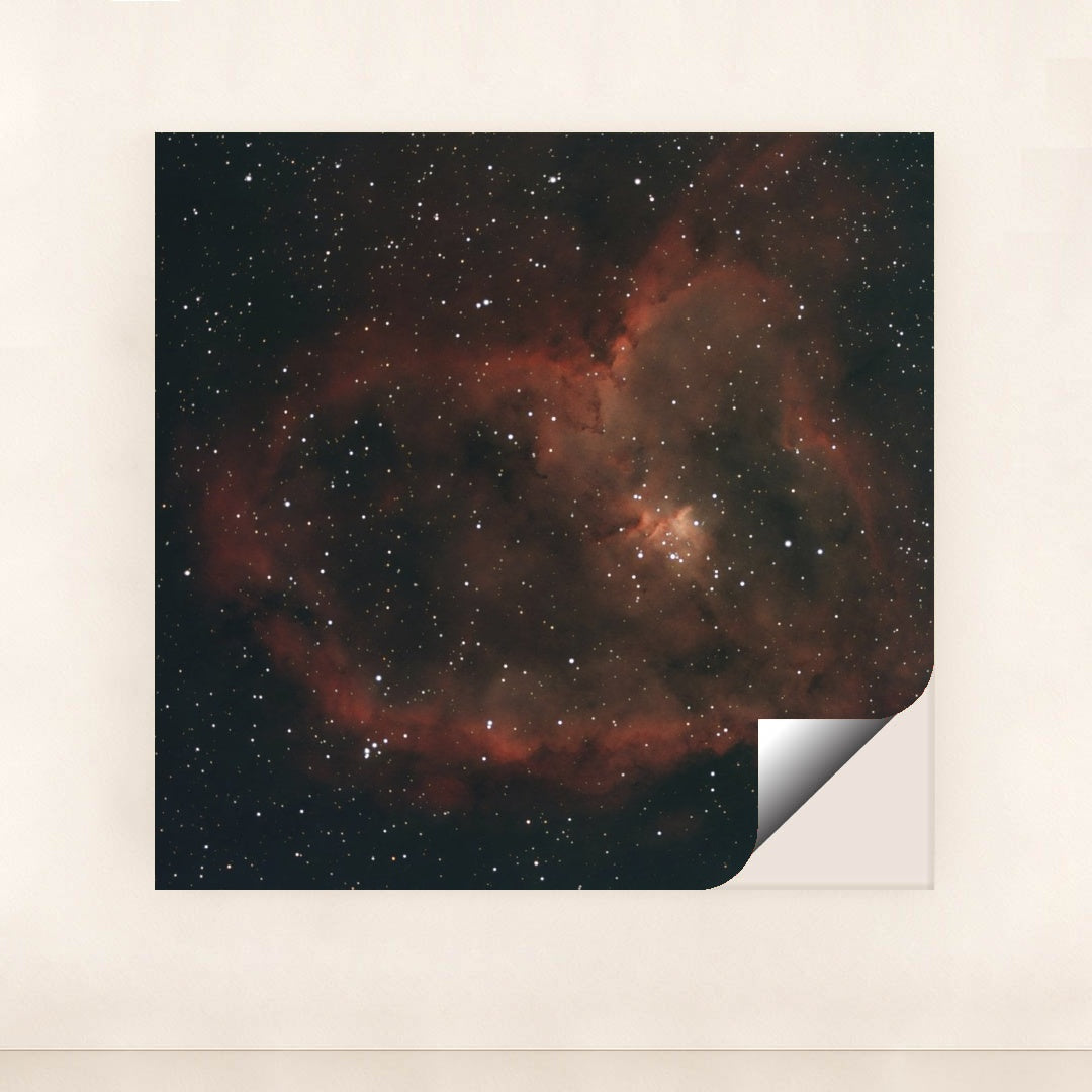 7090369986595 - Product Image