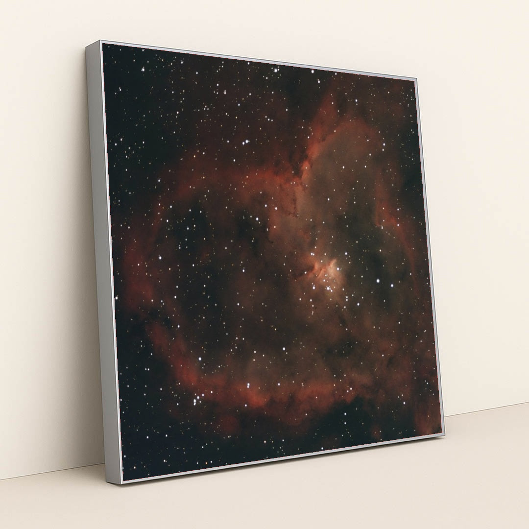 7090369986595 - Product Image