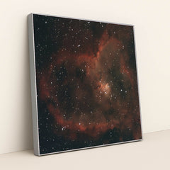 7090369986595 - Product Image