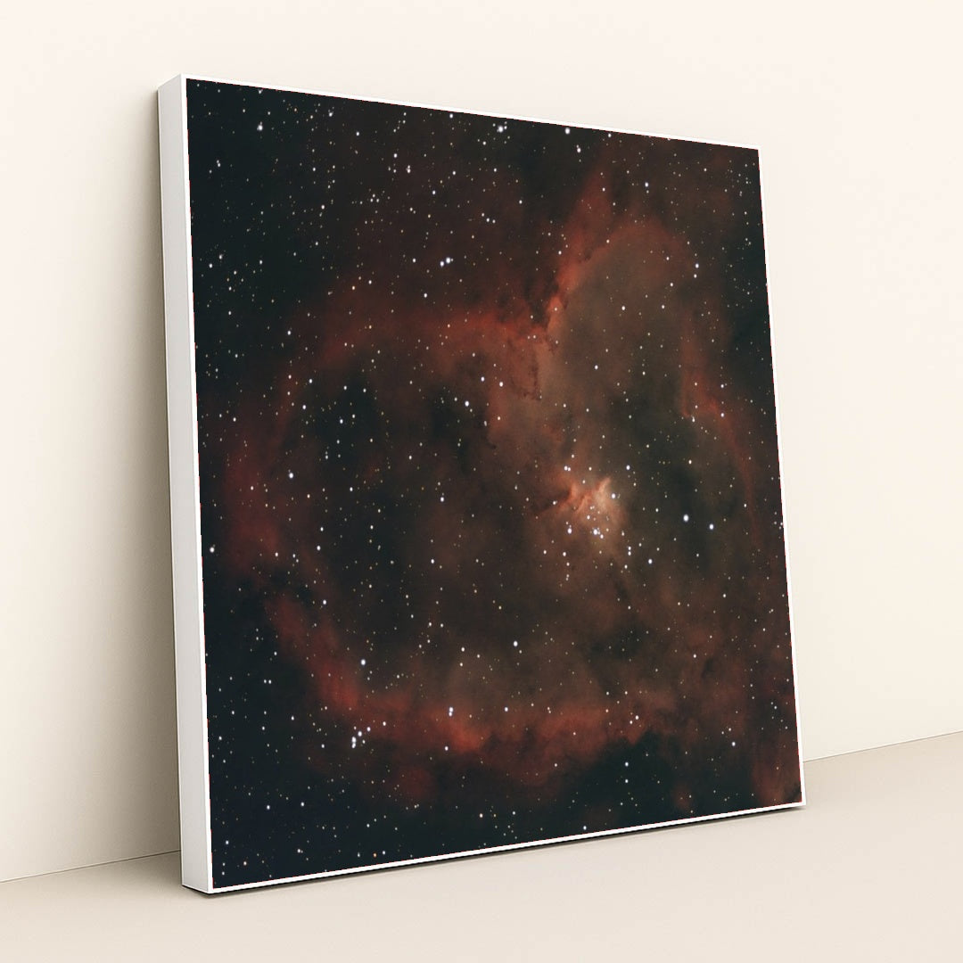 7090369986595 - Product Image