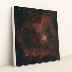 7090369986595 - Product Image