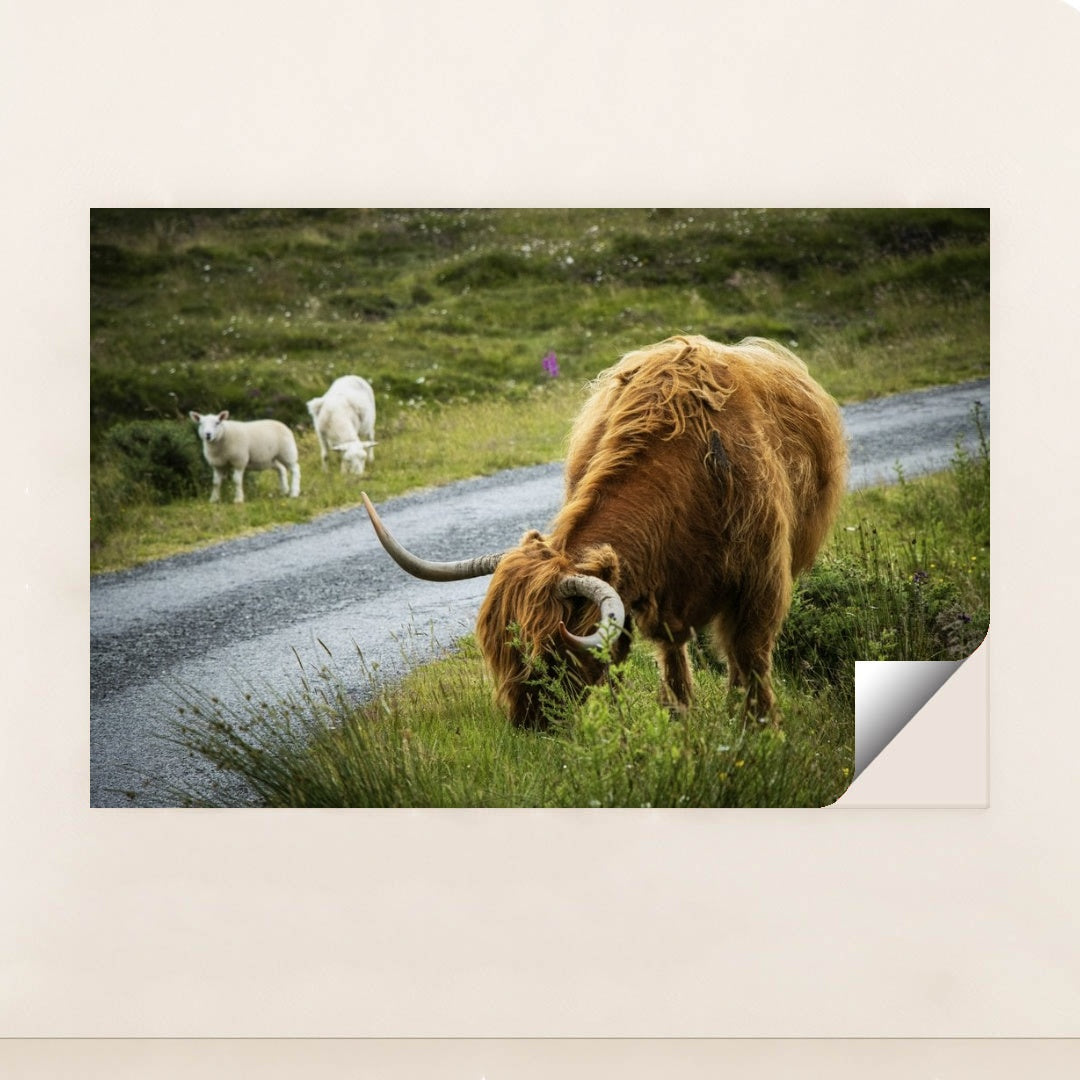 7090290720803 - Product Image