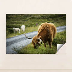 7090290720803 - Product Image